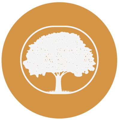 Favicon1